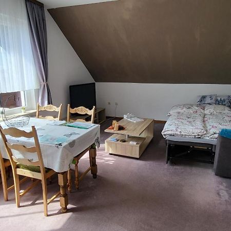 Haus Rehblick 2, Wg 4 Appartement Sankt Andreasberg Buitenkant foto